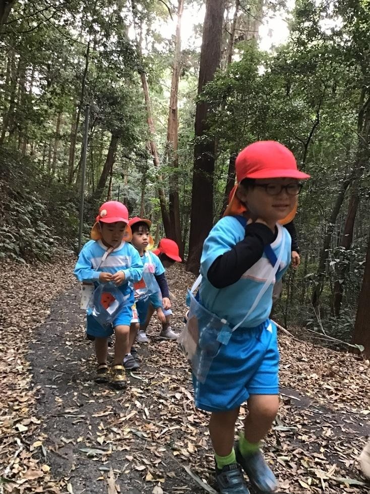 3歳以上児 自然体験